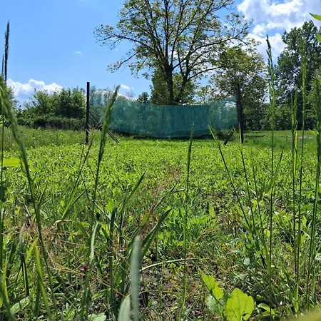 Garden For Two People With Additional River Site To Put Up Your Tent Price Includes Two Bicycles For Amazing Views And Two Water Floats For Mega River Run Check My Video On Youtube By Writing To Find And Use Your In Campeggio *